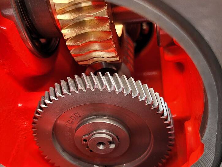 Cutaway model of a worm gearbox from the inside. The focal point is the side on which the motor is normally mounted. Some areas are clearly marked, e.g. the intersections in yellow. The worm wheel and the bronze worm shaft underneath are clearly visible