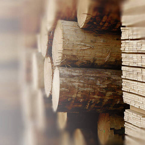 Debarked tree trunks and wooden planks in a sawmill