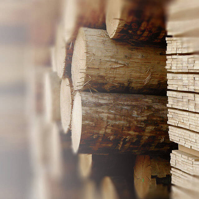 Debarked tree trunks and wooden planks in a sawmill