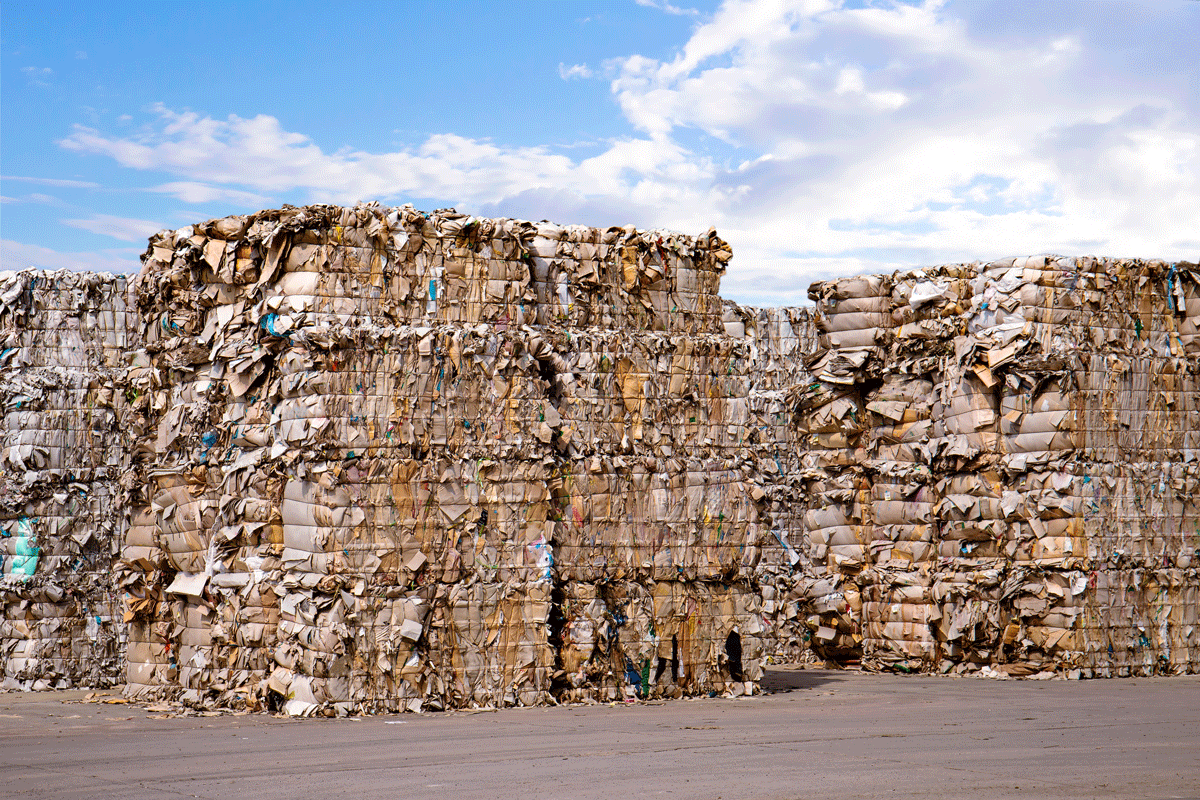 Bales of waste paper in the yard of a paper recycling plant